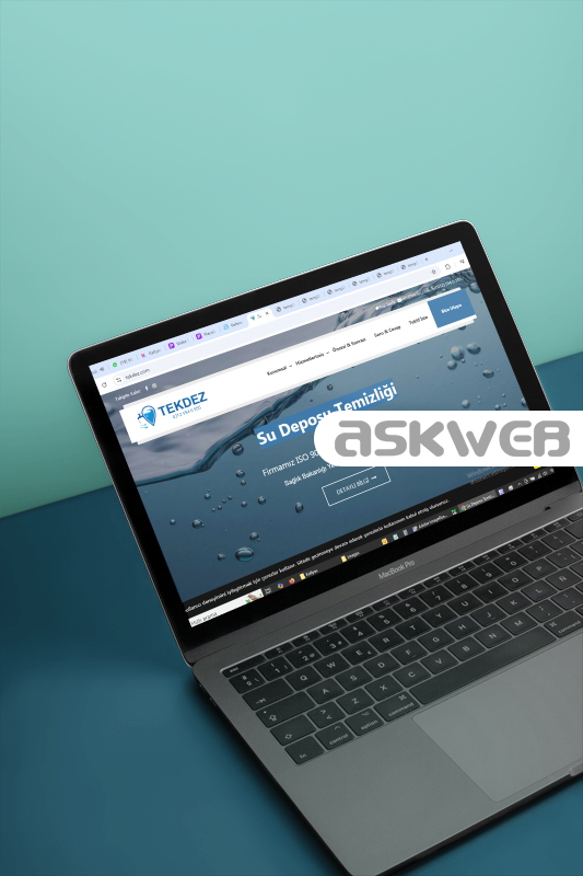 web sitesi tasarımı