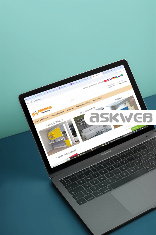 web sitesi tasarımı